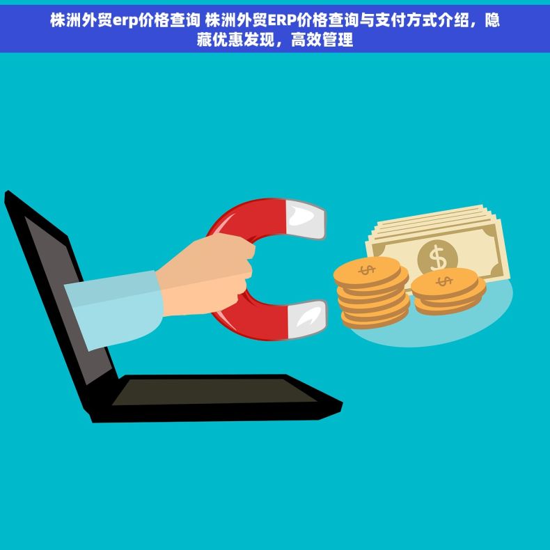 株洲外贸erp价格查询 株洲外贸ERP价格查询与支付方式介绍，隐藏优惠发现，高效管理