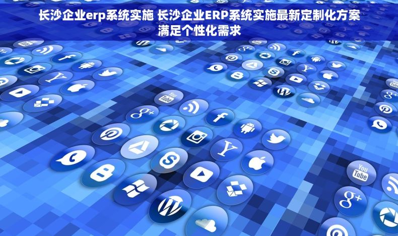 长沙企业erp系统实施 长沙企业ERP系统实施最新定制化方案满足个性化需求