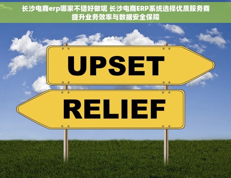 长沙电商erp哪家不错好做呢 长沙电商ERP系统选择优质服务商提升业务效率与数据安全保障