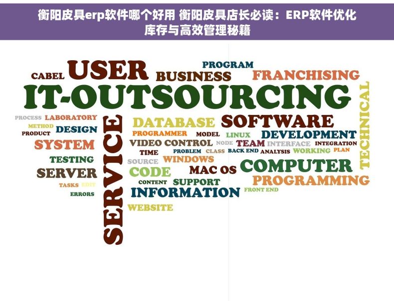 衡阳皮具erp软件哪个好用 衡阳皮具店长必读：ERP软件优化库存与高效管理秘籍
