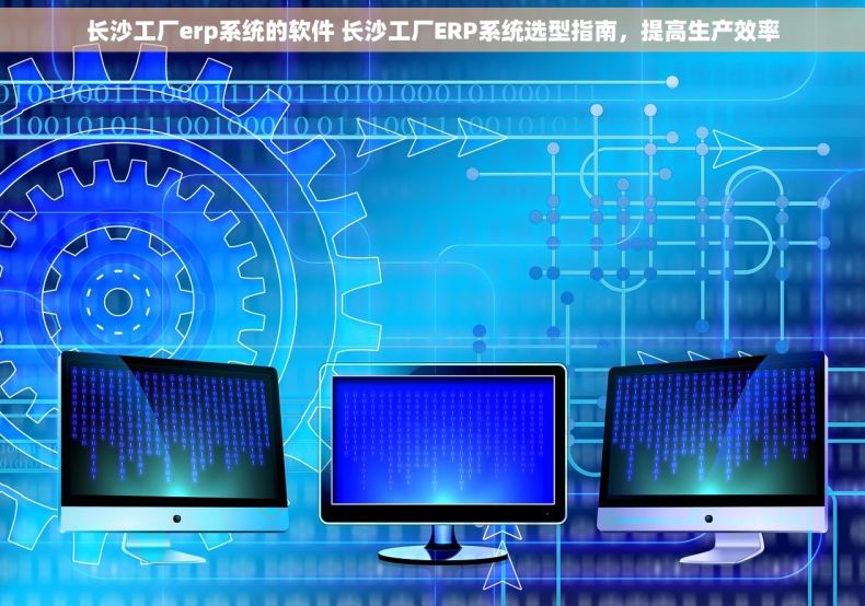 长沙工厂erp系统的软件 长沙工厂ERP系统选型指南，提高生产效率