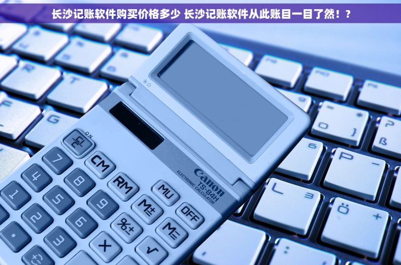 长沙记账软件购买价格多少 长沙记账软件从此账目一目了然！?