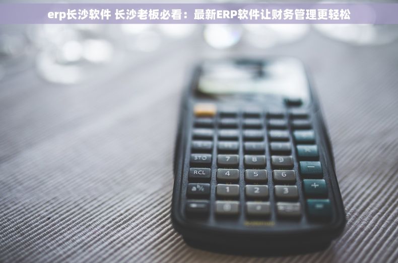 erp长沙软件 长沙老板必看：最新ERP软件让财务管理更轻松