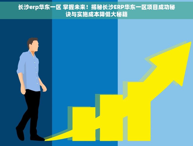 长沙erp华东一区 掌握未来！揭秘长沙ERP华东一区项目成功秘诀与实施成本降低大秘籍