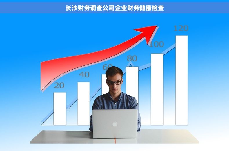长沙财务调查公司企业财务健康检查