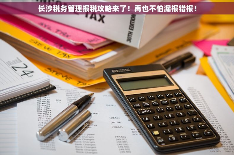 长沙税务管理报税攻略来了！再也不怕漏报错报！