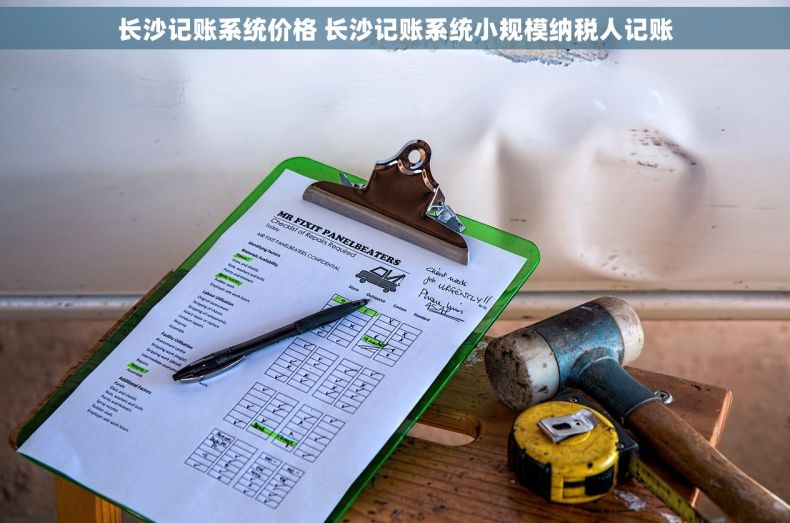 长沙记账系统价格 长沙记账系统小规模纳税人记账