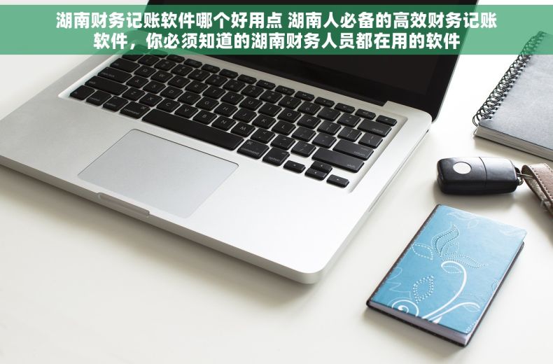 湖南财务记账软件哪个好用点 湖南人必备的高效财务记账软件，你必须知道的湖南财务人员都在用的软件