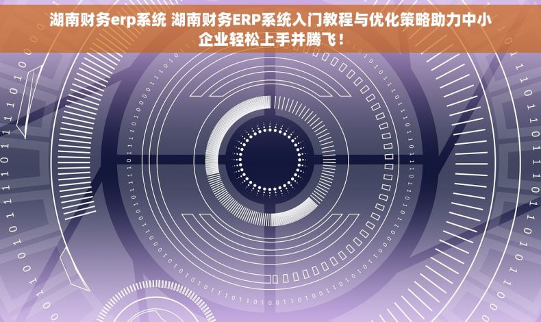 湖南财务erp系统 湖南财务ERP系统入门教程与优化策略助力中小企业轻松上手并腾飞！