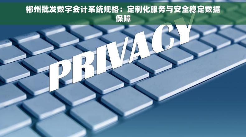 郴州批发数字会计系统规格：定制化服务与安全稳定数据保障