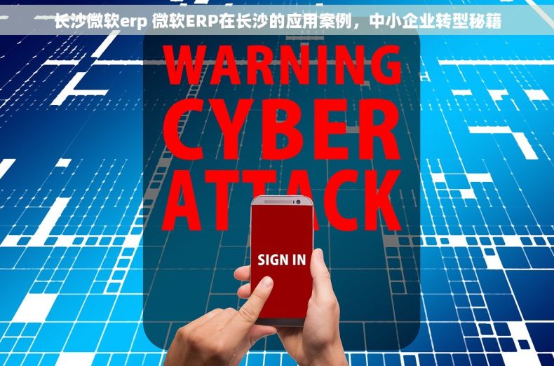 长沙微软erp 微软ERP在长沙的应用案例，中小企业转型秘籍