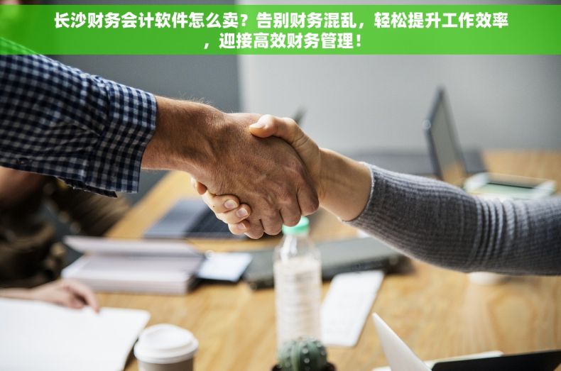 长沙财务会计软件怎么卖？告别财务混乱，轻松提升工作效率，迎接高效财务管理！