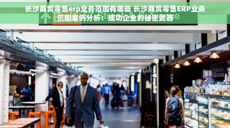 长沙商贸零售erp业务范围有哪些 长沙商贸零售ERP业务范围案例分析：成功企业的秘密武器