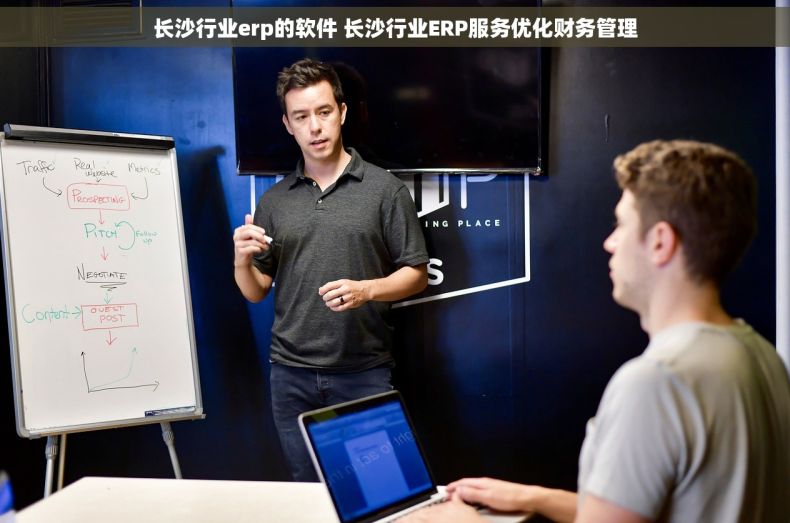 长沙行业erp的软件 长沙行业ERP服务优化财务管理
