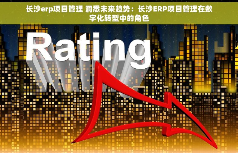 长沙erp项目管理 洞悉未来趋势：长沙ERP项目管理在数字化转型中的角色