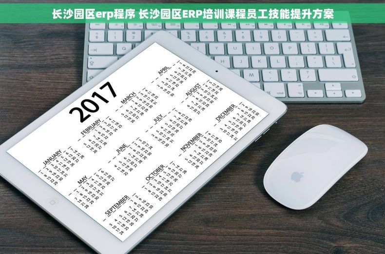 长沙园区erp程序 长沙园区ERP培训课程员工技能提升方案