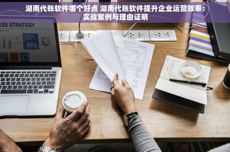 湖南代账软件哪个好点 湖南代账软件提升企业运营效率：实战案例与理由证明