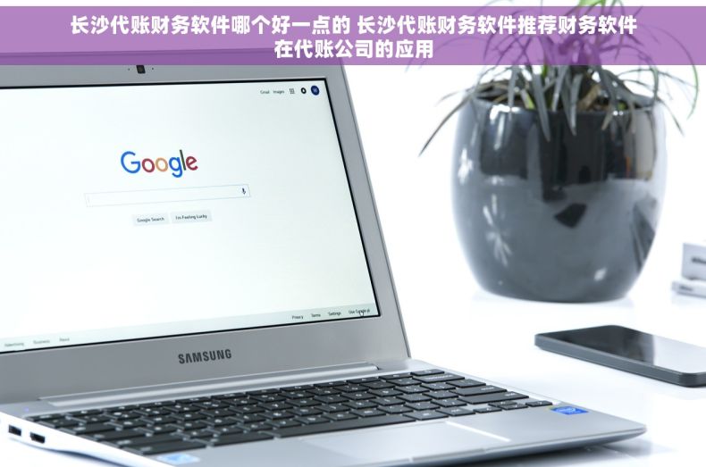 长沙代账财务软件哪个好一点的 长沙代账财务软件推荐财务软件在代账公司的应用