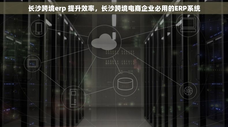 长沙跨境erp 提升效率，长沙跨境电商企业必用的ERP系统
