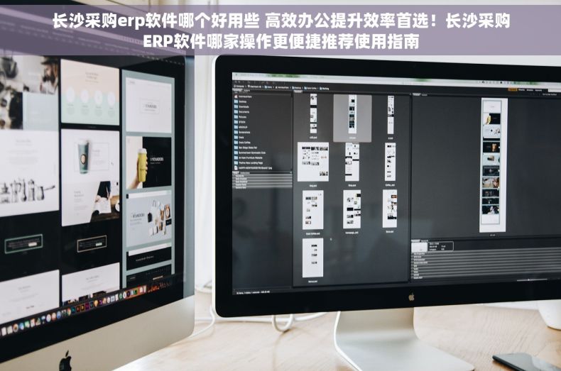 长沙采购erp软件哪个好用些 高效办公提升效率首选！长沙采购ERP软件哪家操作更便捷推荐使用指南