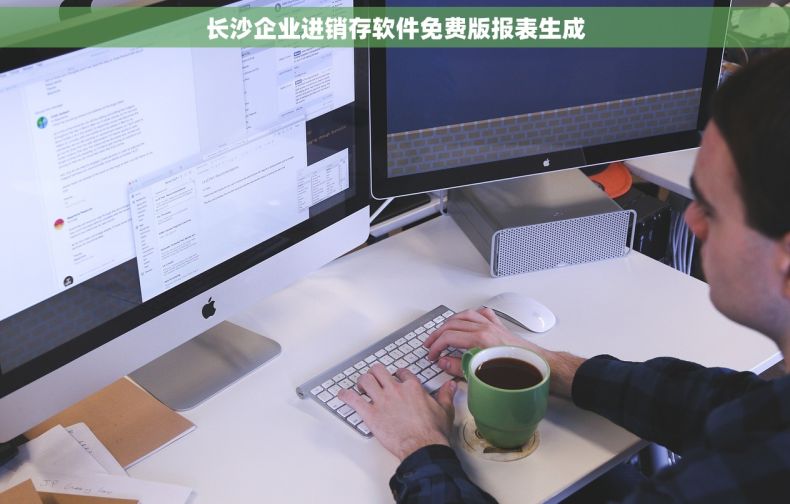 长沙企业进销存软件免费版报表生成