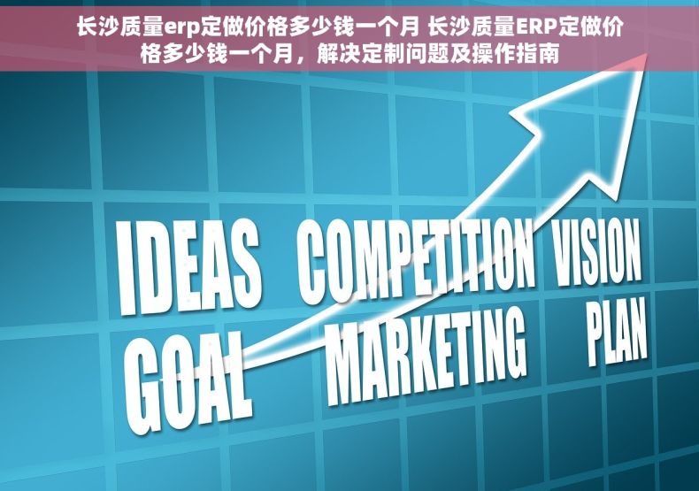 长沙质量erp定做价格多少钱一个月 长沙质量ERP定做价格多少钱一个月，解决定制问题及操作指南