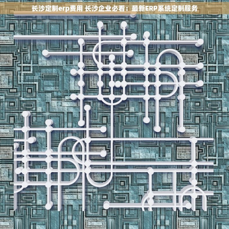 长沙定制erp费用 长沙企业必看：最新ERP系统定制服务