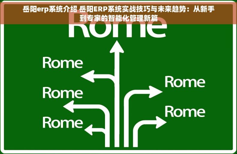 岳阳erp系统介绍 岳阳ERP系统实战技巧与未来趋势：从新手到专家的智能化管理新篇