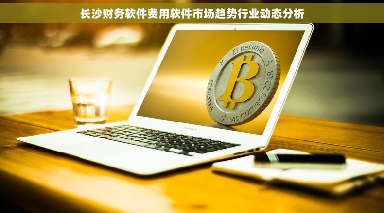 长沙财务软件费用软件市场趋势行业动态分析