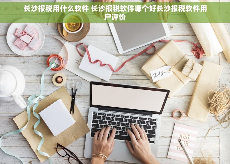 长沙报税用什么软件 长沙报税软件哪个好长沙报税软件用户评价