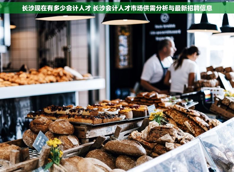 长沙现在有多少会计人才 长沙会计人才市场供需分析与最新招聘信息