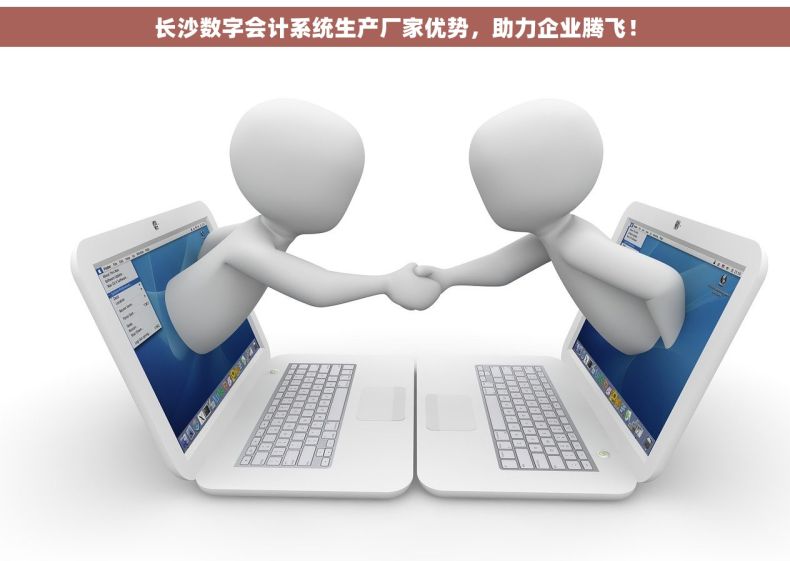 长沙数字会计系统生产厂家优势，助力企业腾飞！