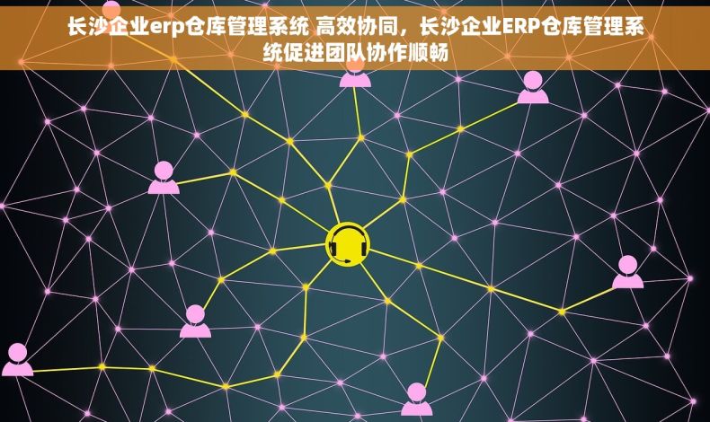 长沙企业erp仓库管理系统 高效协同，长沙企业ERP仓库管理系统促进团队协作顺畅
