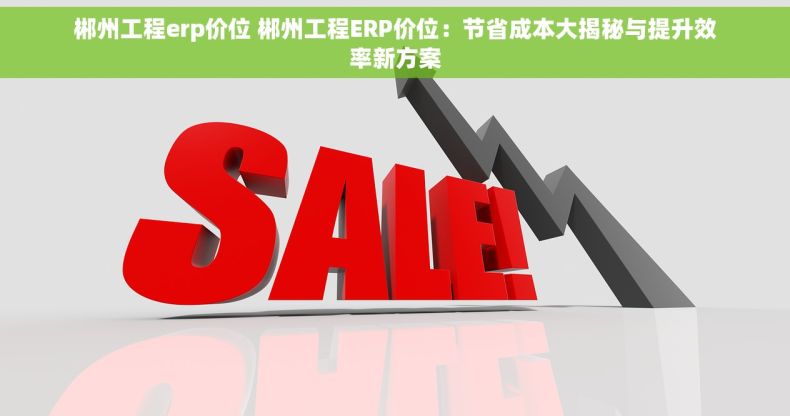 郴州工程erp价位 郴州工程ERP价位：节省成本大揭秘与提升效率新方案