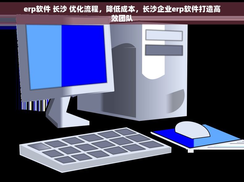 erp软件 长沙 优化流程，降低成本，长沙企业erp软件打造高效团队