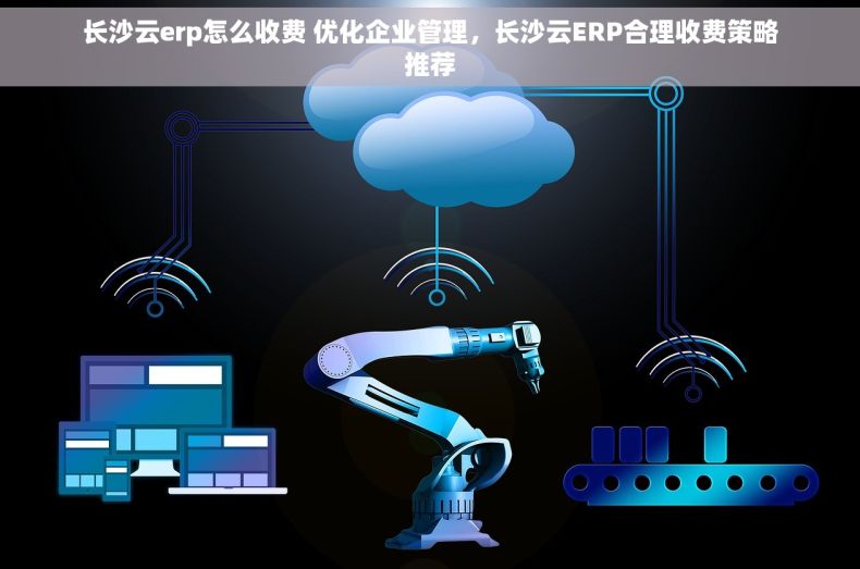 长沙云erp怎么收费 优化企业管理，长沙云ERP合理收费策略推荐
