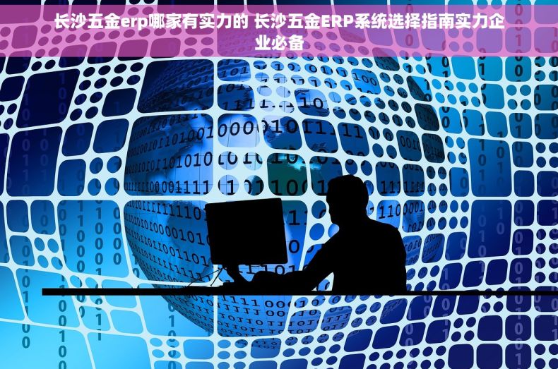 长沙五金erp哪家有实力的 长沙五金ERP系统选择指南实力企业必备