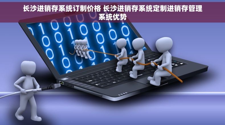 长沙进销存系统订制价格 长沙进销存系统定制进销存管理系统优势