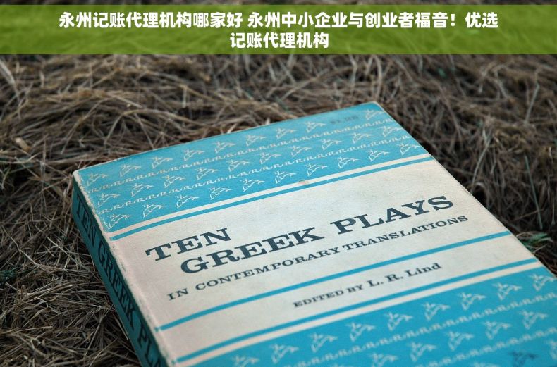 永州记账代理机构哪家好 永州中小企业与创业者福音！优选记账代理机构