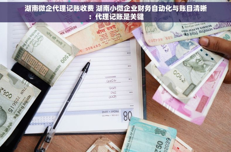 湖南微企代理记账收费 湖南小微企业财务自动化与账目清晰：代理记账是关键