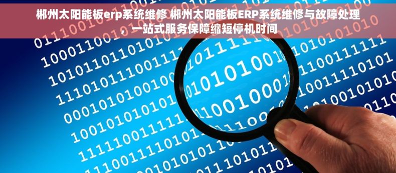郴州太阳能板erp系统维修 郴州太阳能板ERP系统维修与故障处理，一站式服务保障缩短停机时间