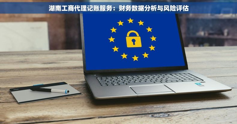 湖南工商代理记账服务：财务数据分析与风险评估