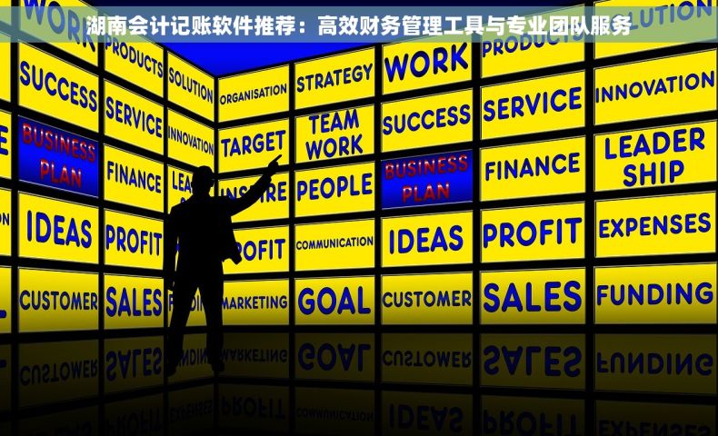 湖南会计记账软件推荐：高效财务管理工具与专业团队服务