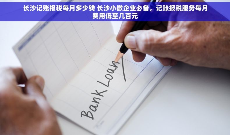 长沙记账报税每月多少钱 长沙小微企业必备，记账报税服务每月费用低至几百元