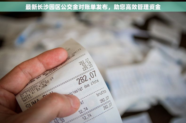 最新长沙园区公交金对账单发布，助您高效管理资金