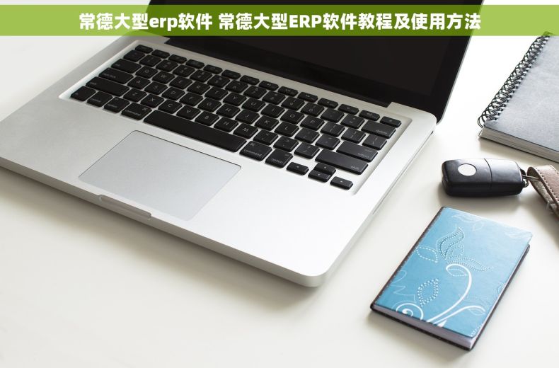 常德大型erp软件 常德大型ERP软件教程及使用方法