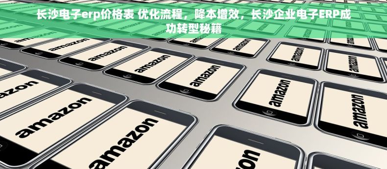 长沙电子erp价格表 优化流程，降本增效，长沙企业电子ERP成功转型秘籍
