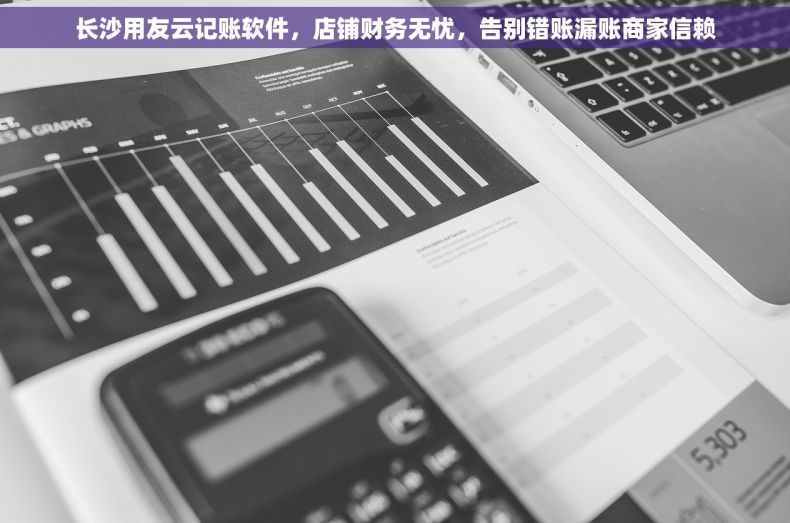 长沙用友云记账软件，店铺财务无忧，告别错账漏账商家信赖