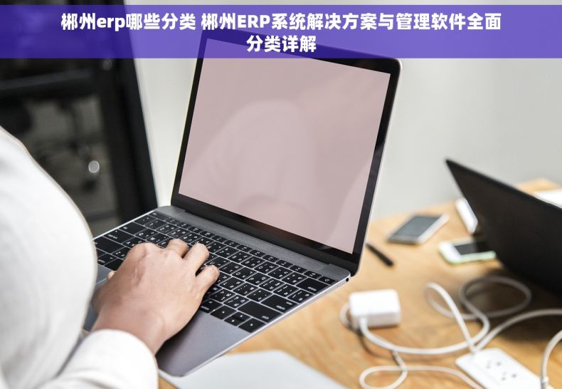 郴州erp哪些分类 郴州ERP系统解决方案与管理软件全面分类详解
