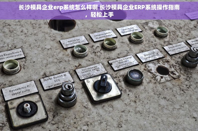 长沙模具企业erp系统怎么样啊 长沙模具企业ERP系统操作指南，轻松上手